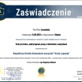 Powiększ obraz: certificate 7