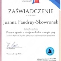 Powiększ obraz: certificate 15