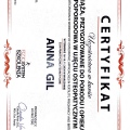 Powiększ obraz: certificate 3