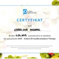 Powiększ obraz: certificate 4