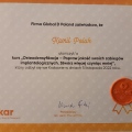 Powiększ obraz: certificate 9