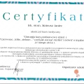 Powiększ obraz: certificate 7