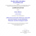 Powiększ obraz: certificate 222