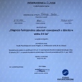 Powiększ obraz: certificate 6