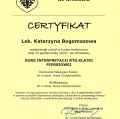 Powiększ obraz: certificate 2