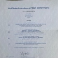 Powiększ obraz: certificate 6