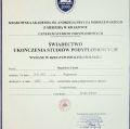 Powiększ obraz: certificate 3