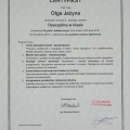 Powiększ obraz: certificate 1