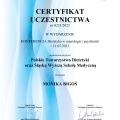 Powiększ obraz: certificate 2