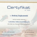 Powiększ obraz: certificate 8