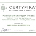 Powiększ obraz: certificate 4