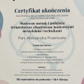 Powiększ obraz: certificate 6