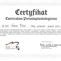 Powiększ obraz: certificate 1