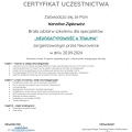 Powiększ obraz: certificate 4