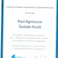 Powiększ obraz: certificate 17