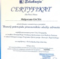Powiększ obraz: certificate 47
