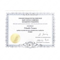 Powiększ obraz: certificate 21