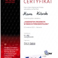 Powiększ obraz: certificate 1