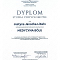 Powiększ obraz: certificate 2