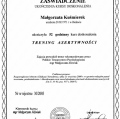 Powiększ obraz: certificate 5