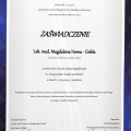 Powiększ obraz: certificate 11