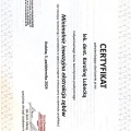 Powiększ obraz: certificate 4
