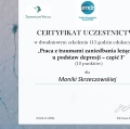 Powiększ obraz: certificate 5