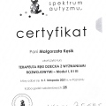 Powiększ obraz: certificate 2