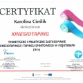 Powiększ obraz: certificate 22