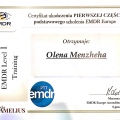 Powiększ obraz: certificate 1