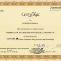 Powiększ obraz: certificate 11