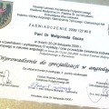 Powiększ obraz: certificate 45
