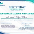 Powiększ obraz: certificate 2