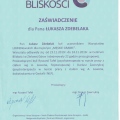 Powiększ obraz: certificate 9