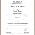 Powiększ obraz: certificate 4
