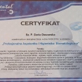 Powiększ obraz: certificate 5