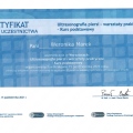Powiększ obraz: certificate 1