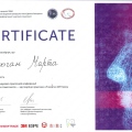 Powiększ obraz: certificate 13