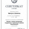 Powiększ obraz: certificate 2