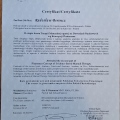 Powiększ obraz: certificate 13