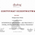 Powiększ obraz: certificate 12