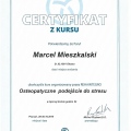 Powiększ obraz: certificate 15