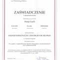 Powiększ obraz: certificate 5
