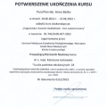 Powiększ obraz: certificate 8