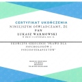 Powiększ obraz: certificate 11