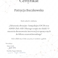 Powiększ obraz: certificate 16
