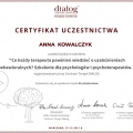 Powiększ obraz: certificate 7