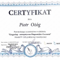 Powiększ obraz: certificate 5