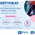 Powiększ obraz: certificate 6