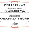 Powiększ obraz: certificate 18